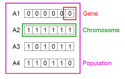 Feature Selection using Genetic Algorithms in R